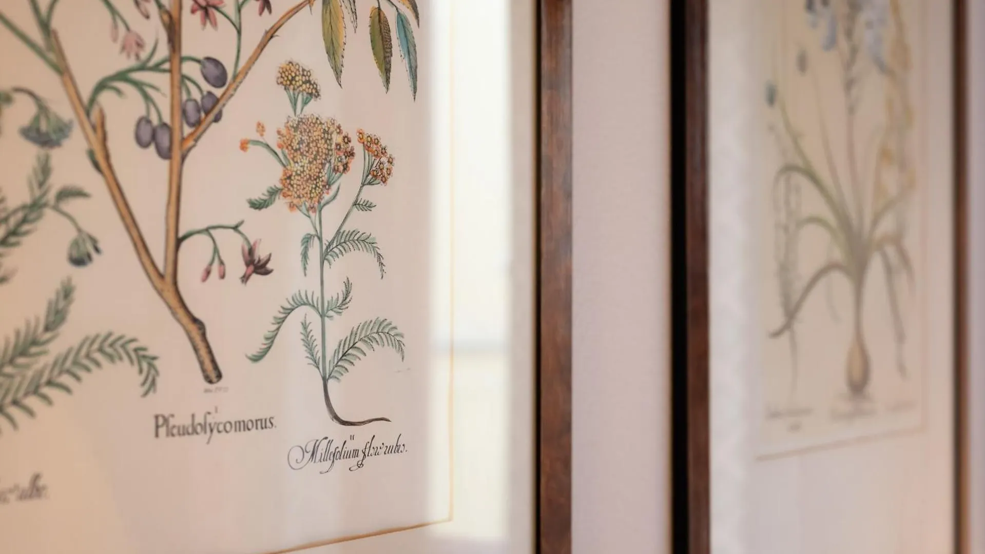 Guest House Morandi Florenz Hotel